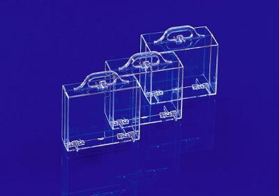 Transparenter Koffer 121x97x49 mm